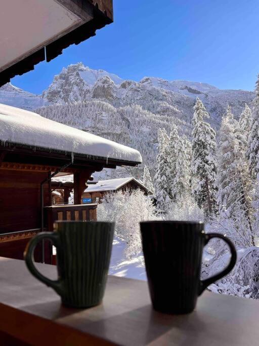 Apartament Peacefull Mountains View Kandersteg Zewnętrze zdjęcie